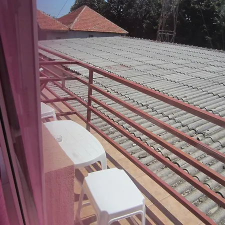 Guest house Sunny 3*